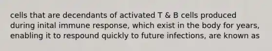 cells that are decendants of activated T & B cells produced during inital immune response, which exist in the body for years, enabling it to respound quickly to future infections, are known as