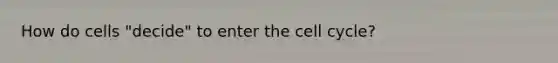 How do cells "decide" to enter the cell cycle?