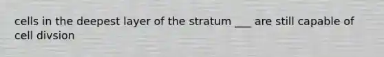 cells in the deepest layer of the stratum ___ are still capable of cell divsion