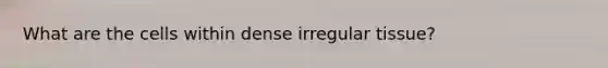 What are the cells within dense irregular tissue?