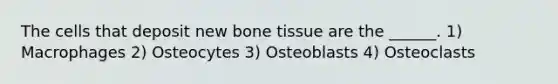 The cells that deposit new bone tissue are the ______. 1) Macrophages 2) Osteocytes 3) Osteoblasts 4) Osteoclasts