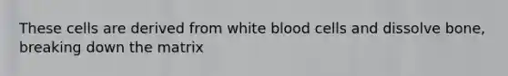 These cells are derived from white blood cells and dissolve bone, breaking down the matrix