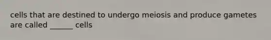cells that are destined to undergo meiosis and produce gametes are called ______ cells