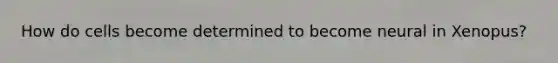 How do cells become determined to become neural in Xenopus?