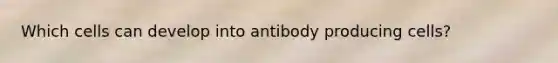 Which cells can develop into antibody producing cells?