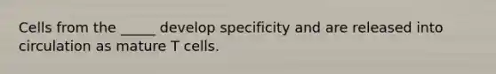 Cells from the _____ develop specificity and are released into circulation as mature T cells.