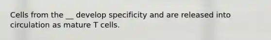 Cells from the __ develop specificity and are released into circulation as mature T cells.