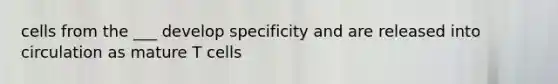 cells from the ___ develop specificity and are released into circulation as mature T cells