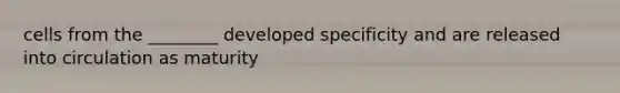 cells from the ________ developed specificity and are released into circulation as maturity