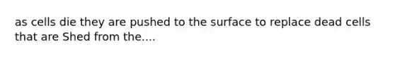 as cells die they are pushed to the surface to replace dead cells that are Shed from the....