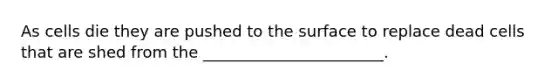 As cells die they are pushed to the surface to replace dead cells that are shed from the _______________________.