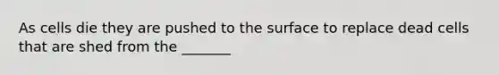 As cells die they are pushed to the surface to replace dead cells that are shed from the _______