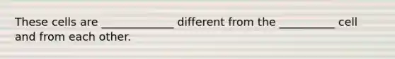 These cells are _____________ different from the __________ cell and from each other.