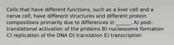 Cells that have different functions, such as a liver cell and a nerve cell, have different structures and different protein compositions primarily due to differences in ______. A) post-translational activation of the proteins B) nucleosome formation C) replication of the DNA D) translation E) transcription