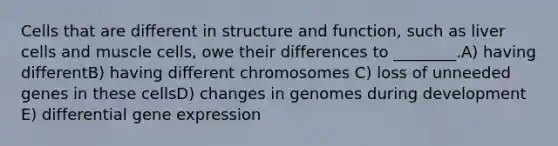 Cells that are different in structure and function, such as liver cells and muscle cells, owe their differences to ________.A) having differentB) having different chromosomes C) loss of unneeded genes in these cellsD) changes in genomes during development E) differential gene expression