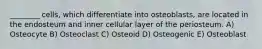 ________ cells, which differentiate into osteoblasts, are located in the endosteum and inner cellular layer of the periosteum. A) Osteocyte B) Osteoclast C) Osteoid D) Osteogenic E) Osteoblast