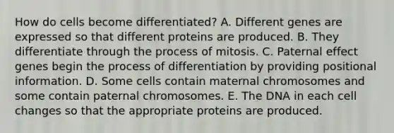 How do cells become differentiated? A. Different genes are expressed so that different proteins are produced. B. They differentiate through the process of mitosis. C. Paternal effect genes begin the process of differentiation by providing positional information. D. Some cells contain maternal chromosomes and some contain paternal chromosomes. E. The DNA in each cell changes so that the appropriate proteins are produced.