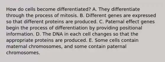 How do cells become differentiated? A. They differentiate through the process of mitosis. B. Different genes are expressed so that different proteins are produced. C. Paternal effect genes begin the process of differentiation by providing positional information. D. The DNA in each cell changes so that the appropriate proteins are produced. E. Some cells contain maternal chromosomes, and some contain paternal chromosomes.