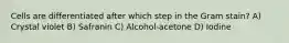 Cells are differentiated after which step in the Gram stain? A) Crystal violet B) Safranin C) Alcohol-acetone D) Iodine