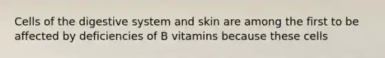 Cells of the digestive system and skin are among the first to be affected by deficiencies of B vitamins because these cells