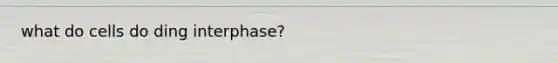 what do cells do ding interphase?