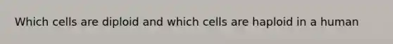 Which cells are diploid and which cells are haploid in a human