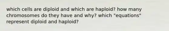 which cells are diploid and which are haploid? how many chromosomes do they have and why? which "equations" represent diploid and haploid?