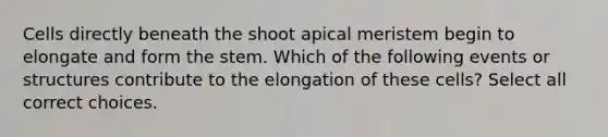 Cells directly beneath the shoot apical meristem begin to elongate and form the stem. Which of the following events or structures contribute to the elongation of these cells? Select all correct choices.