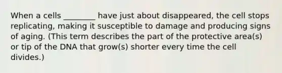 When a cells ________ have just about disappeared, the cell stops replicating, making it susceptible to damage and producing signs of aging. (This term describes the part of the protective area(s) or tip of the DNA that grow(s) shorter every time the cell divides.)