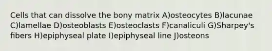 Cells that can dissolve the bony matrix A)osteocytes B)lacunae C)lamellae D)osteoblasts E)osteoclasts F)canaliculi G)Sharpey's ﬁbers H)epiphyseal plate I)epiphyseal line J)osteons