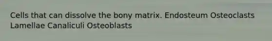 Cells that can dissolve the bony matrix. Endosteum Osteoclasts Lamellae Canaliculi Osteoblasts