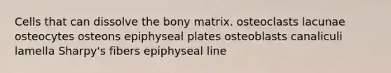 Cells that can dissolve the bony matrix. osteoclasts lacunae osteocytes osteons epiphyseal plates osteoblasts canaliculi lamella Sharpy's fibers epiphyseal line