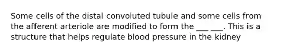 Some cells of the distal convoluted tubule and some cells from the afferent arteriole are modified to form the ___ ___. This is a structure that helps regulate blood pressure in the kidney