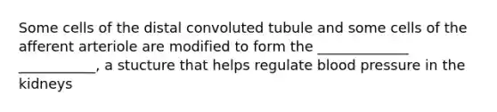 Some cells of the distal convoluted tubule and some cells of the afferent arteriole are modified to form the _____________ ___________, a stucture that helps regulate blood pressure in the kidneys