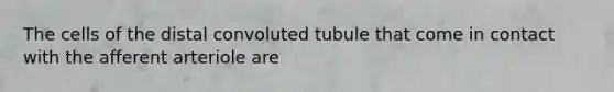 The cells of the distal convoluted tubule that come in contact with the afferent arteriole are