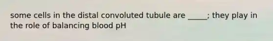 some cells in the distal convoluted tubule are _____; they play in the role of balancing blood pH