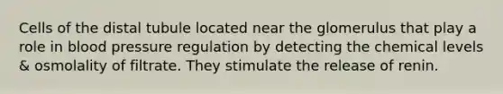Cells of the distal tubule located near the glomerulus that play a role in blood pressure regulation by detecting the chemical levels & osmolality of filtrate. They stimulate the release of renin.