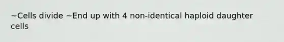 ~Cells divide ~End up with 4 non-identical haploid daughter cells