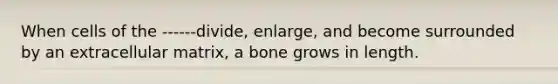 When cells of the ------divide, enlarge, and become surrounded by an extracellular matrix, a bone grows in length.