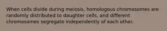 When cells divide during meiosis, homologous chromosomes are randomly distributed to daughter cells, and different chromosomes segregate independently of each other.