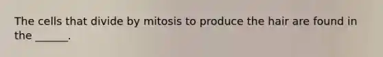 The cells that divide by mitosis to produce the hair are found in the ______.