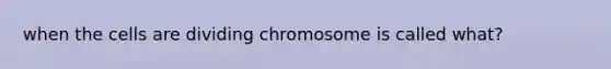 when the cells are dividing chromosome is called what?