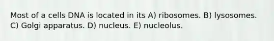 Most of a cells DNA is located in its A) ribosomes. B) lysosomes. C) Golgi apparatus. D) nucleus. E) nucleolus.