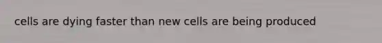 cells are dying faster than new cells are being produced