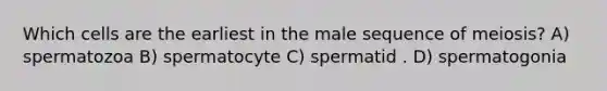 Which cells are the earliest in the male sequence of meiosis? A) spermatozoa B) spermatocyte C) spermatid . D) spermatogonia