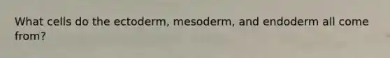 What cells do the ectoderm, mesoderm, and endoderm all come from?