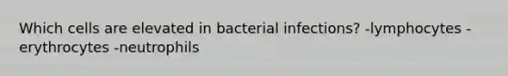 Which cells are elevated in bacterial infections? -lymphocytes -erythrocytes -neutrophils