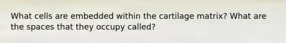 What cells are embedded within the cartilage matrix? What are the spaces that they occupy called?