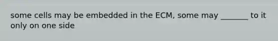 some cells may be embedded in the ECM, some may _______ to it only on one side