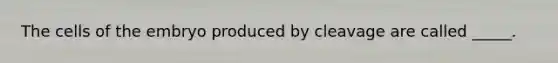 The cells of the embryo produced by cleavage are called _____.